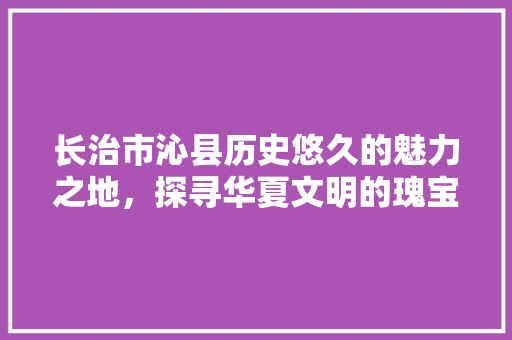 长治市沁县历史悠久的魅力之地，探寻华夏文明的瑰宝 必应SEO