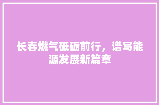 长春燃气砥砺前行，谱写能源发展新篇章 必应SEO