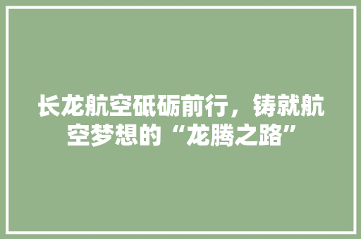 长龙航空砥砺前行，铸就航空梦想的“龙腾之路” 搜狗SEO