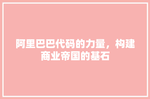 阿里巴巴代码的力量，构建商业帝国的基石