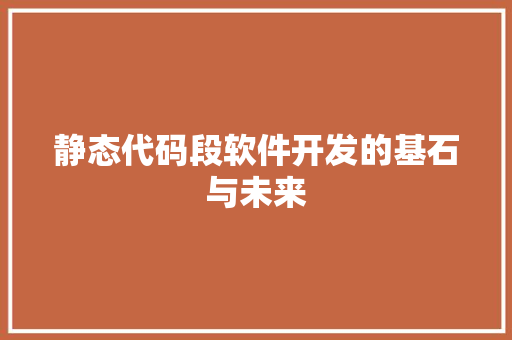 静态代码段软件开发的基石与未来
