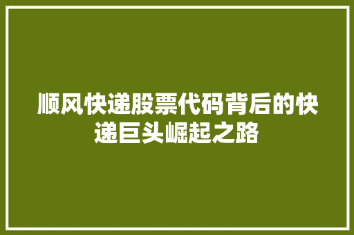 顺风快递股票代码背后的快递巨头崛起之路