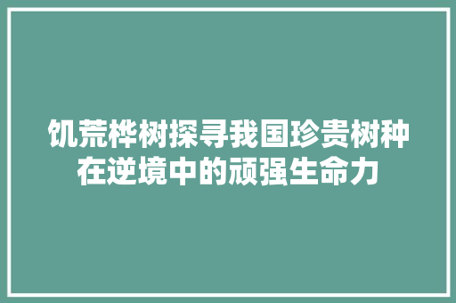 饥荒桦树探寻我国珍贵树种在逆境中的顽强生命力 网站建设公司