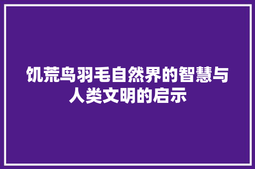 饥荒鸟羽毛自然界的智慧与人类文明的启示 必应SEO