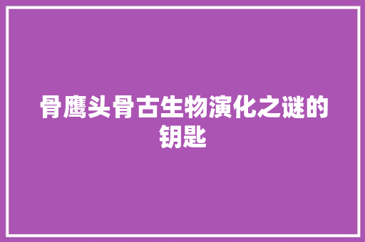 骨鹰头骨古生物演化之谜的钥匙 搜狗SEO