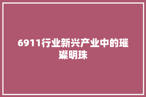 6911行业新兴产业中的璀璨明珠