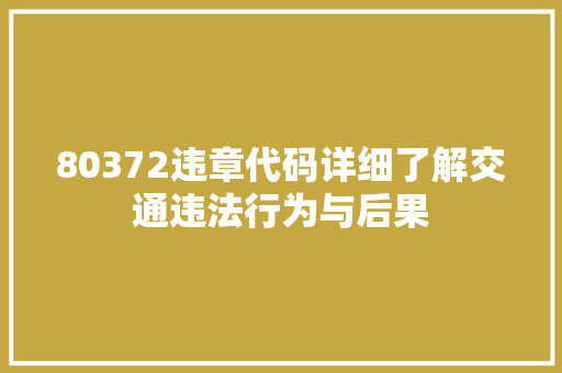80372违章代码详细了解交通违法行为与后果 搜狗SEO