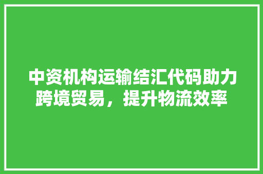 中资机构运输结汇代码助力跨境贸易，提升物流效率 网站建设公司