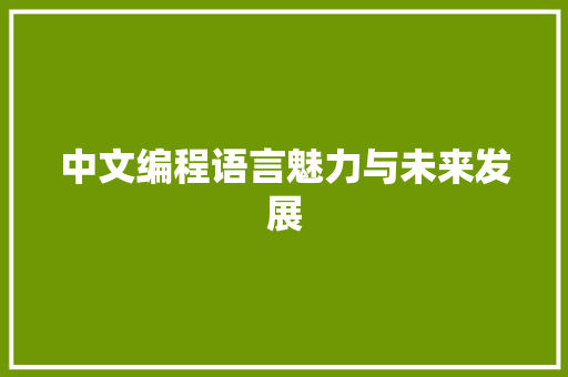 中文编程语言魅力与未来发展