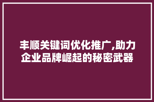 丰顺关键词优化推广,助力企业品牌崛起的秘密武器