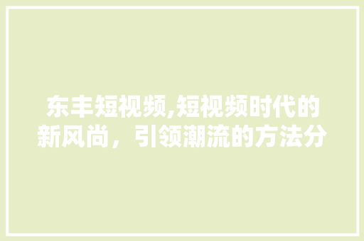 东丰短视频,短视频时代的新风尚，引领潮流的方法分析