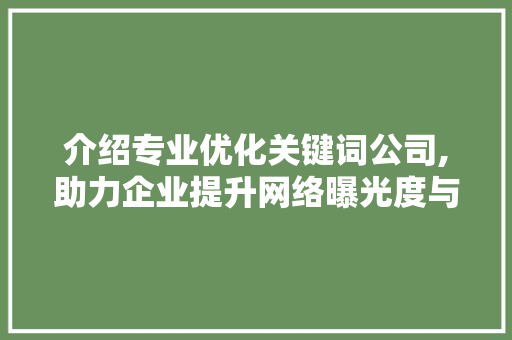 介绍专业优化关键词公司,助力企业提升网络曝光度与品牌影响力 搜狗SEO