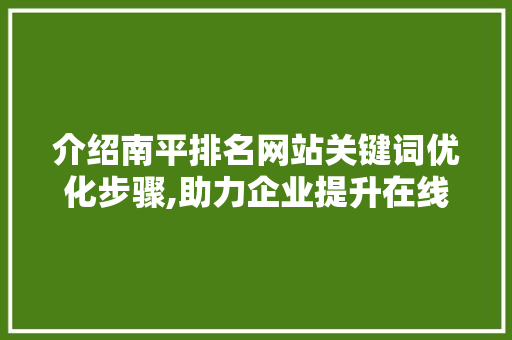 介绍南平排名网站关键词优化步骤,助力企业提升在线竞争力 必应SEO