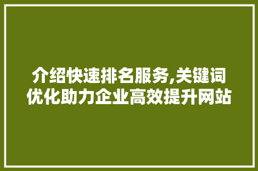 介绍快速排名服务,关键词优化助力企业高效提升网站排名 必应SEO