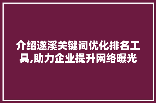 介绍遂溪关键词优化排名工具,助力企业提升网络曝光度