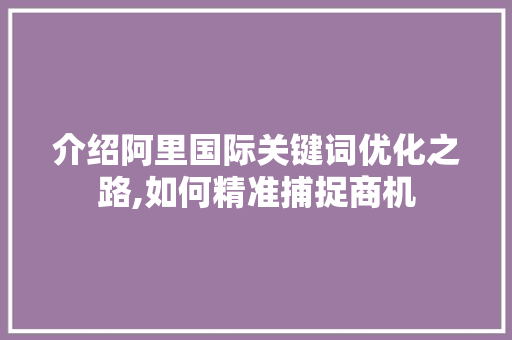 介绍阿里国际关键词优化之路,如何精准捕捉商机