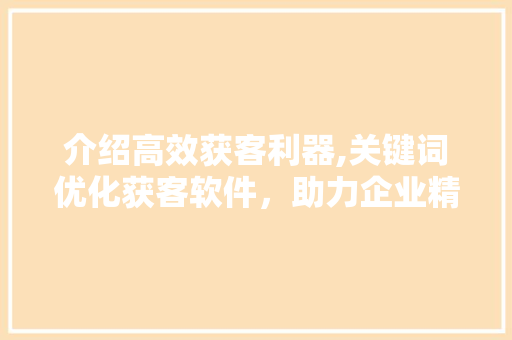 介绍高效获客利器,关键词优化获客软件，助力企业精准触达目标客户
