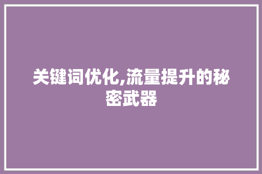 关键词优化,流量提升的秘密武器