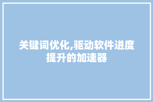 关键词优化,驱动软件进度提升的加速器 神马SEO