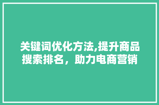 关键词优化方法,提升商品搜索排名，助力电商营销 神马SEO