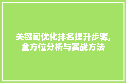 关键词优化排名提升步骤,全方位分析与实战方法