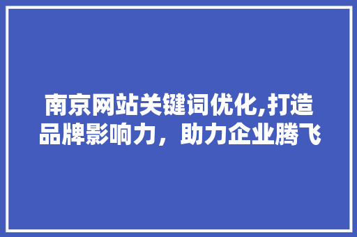 南京网站关键词优化,打造品牌影响力，助力企业腾飞 必应SEO