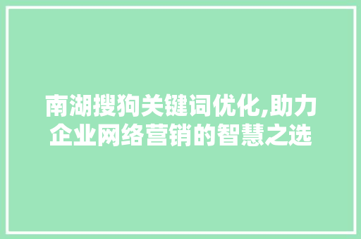 南湖搜狗关键词优化,助力企业网络营销的智慧之选 必应SEO