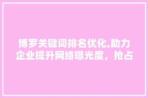 博罗关键词排名优化,助力企业提升网络曝光度，抢占市场先机