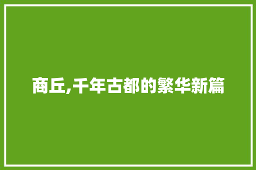 商丘,千年古都的繁华新篇