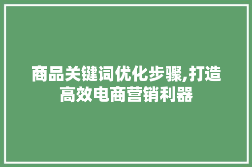 商品关键词优化步骤,打造高效电商营销利器