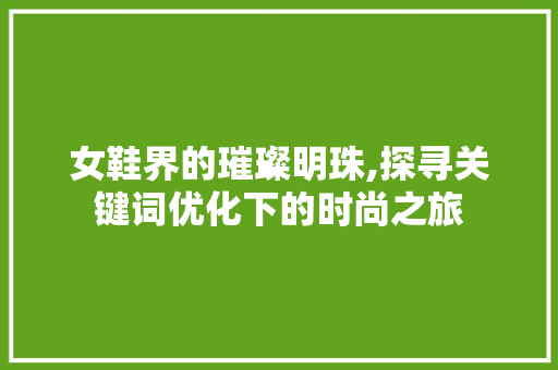 女鞋界的璀璨明珠,探寻关键词优化下的时尚之旅