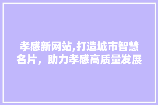 孝感新网站,打造城市智慧名片，助力孝感高质量发展