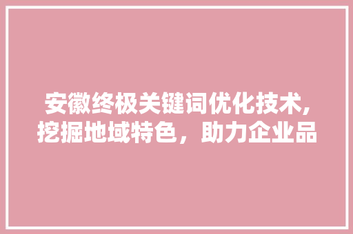 安徽终极关键词优化技术,挖掘地域特色，助力企业品牌腾飞 百度SEO