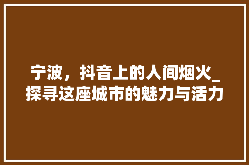 宁波，抖音上的人间烟火_探寻这座城市的魅力与活力 百度SEO