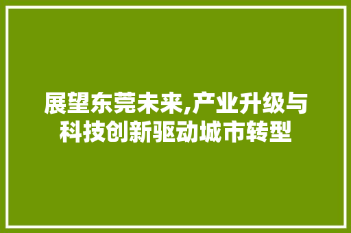 展望东莞未来,产业升级与科技创新驱动城市转型