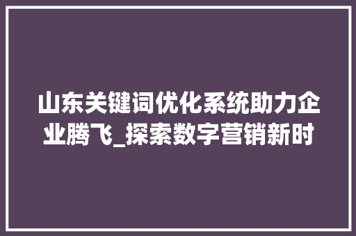 山东关键词优化系统助力企业腾飞_探索数字营销新时代