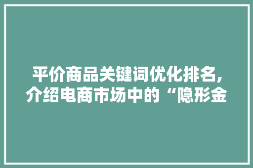 平价商品关键词优化排名,介绍电商市场中的“隐形金矿” 网站建设公司