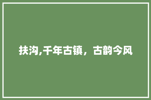 扶沟,千年古镇，古韵今风