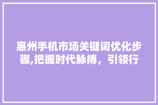 惠州手机市场关键词优化步骤,把握时代脉搏，引领行业潮流