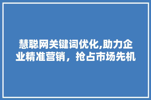 慧聪网关键词优化,助力企业精准营销，抢占市场先机