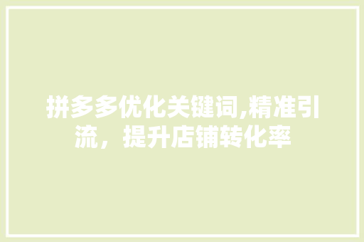 拼多多优化关键词,精准引流，提升店铺转化率 百度SEO