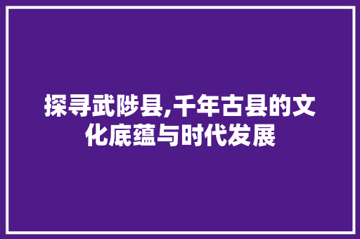 探寻武陟县,千年古县的文化底蕴与时代发展 百度SEO