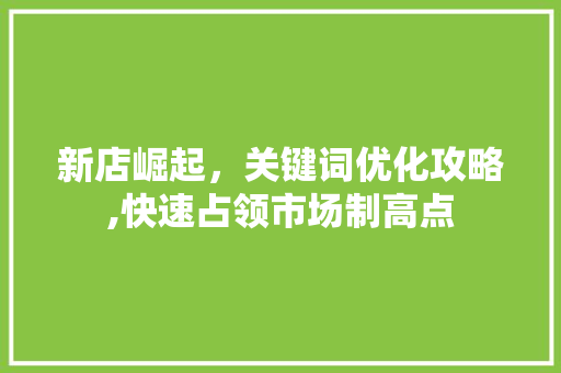新店崛起，关键词优化攻略,快速占领市场制高点