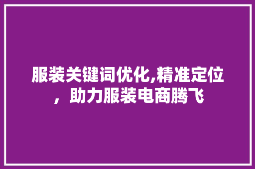 服装关键词优化,精准定位，助力服装电商腾飞