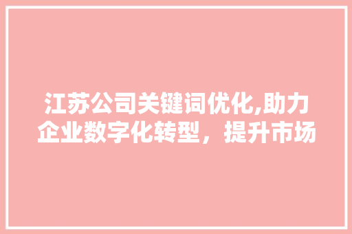 江苏公司关键词优化,助力企业数字化转型，提升市场竞争力 必应SEO