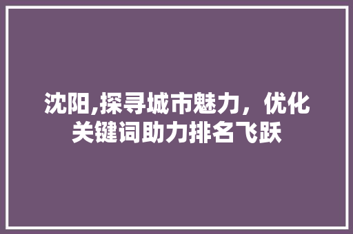 沈阳,探寻城市魅力，优化关键词助力排名飞跃