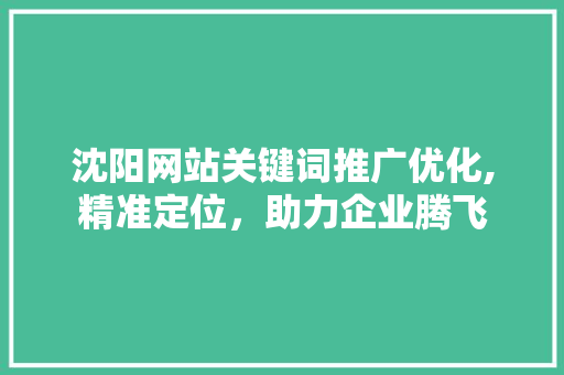 沈阳网站关键词推广优化,精准定位，助力企业腾飞 必应SEO