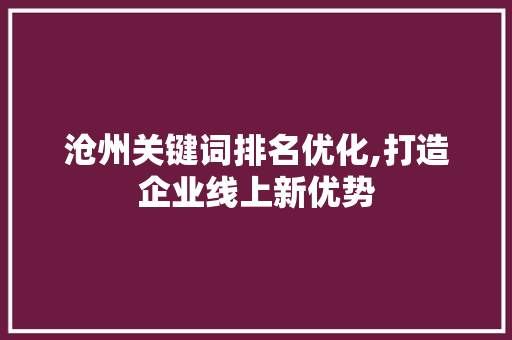 沧州关键词排名优化,打造企业线上新优势
