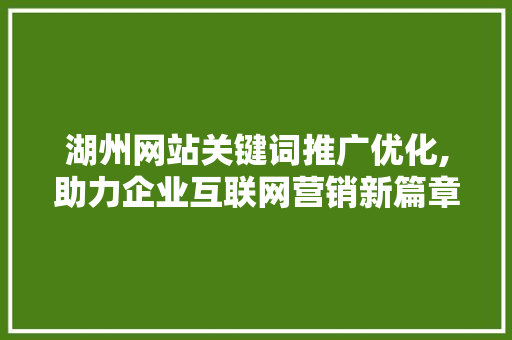 湖州网站关键词推广优化,助力企业互联网营销新篇章