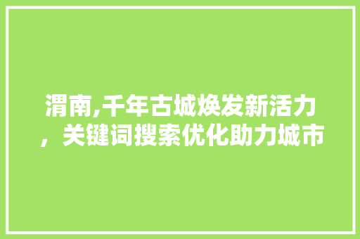 渭南,千年古城焕发新活力，关键词搜索优化助力城市旅游发展 网站建设公司